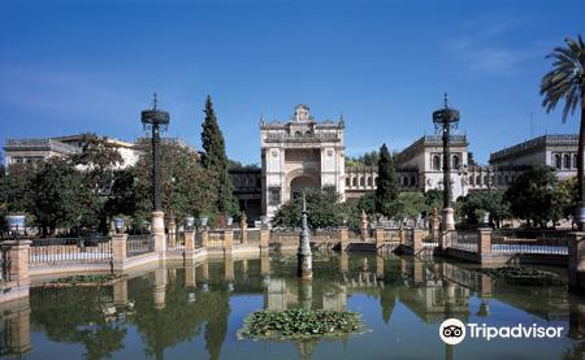 Archaeological Museum of Sevilla旅游景点图片