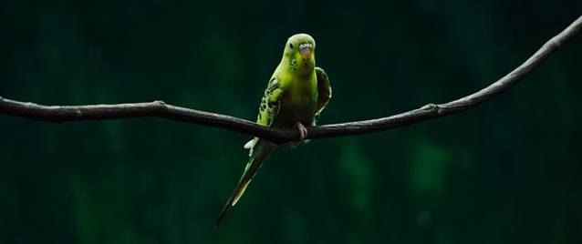 坦尾村江边公园