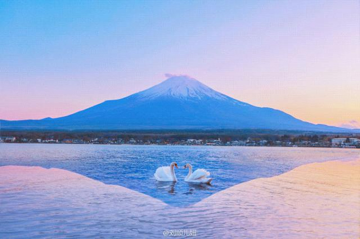 "提到富士山的最佳观赏地点，北侧山麓五片湖泊所在的“五湖区”当仁不让_西峡恐龙遗迹园"的评论图片