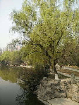 契爷石水库湿地公园的图片