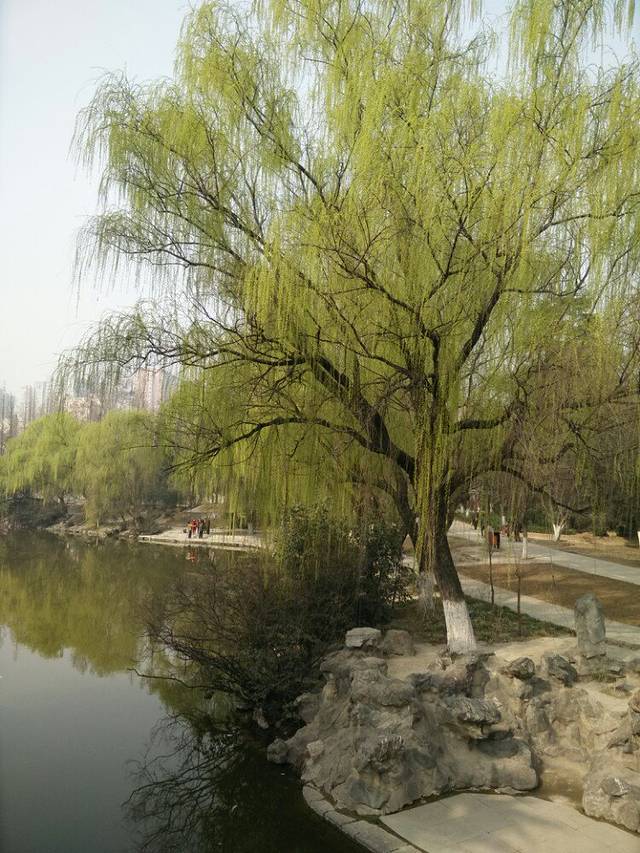 契爷石水库湿地公园