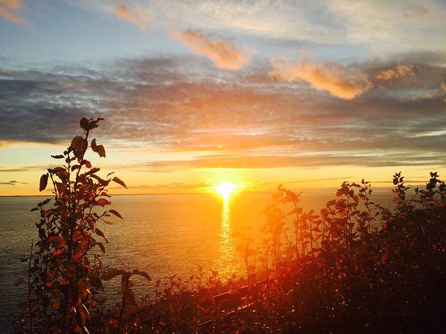 波特沼泽区鸟类保护区