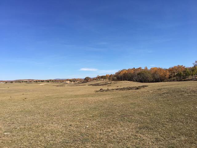 克什克腾旗草原