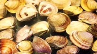 春天烤肉自助(南内环店)