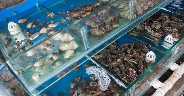 红房子渔家小院