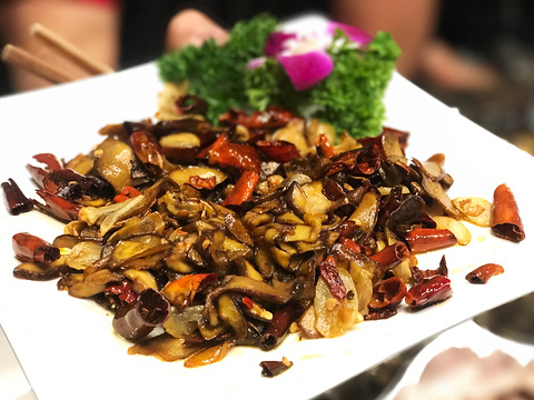 菌海森林滇池路摩根道店