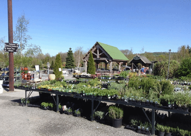 Derwen Garden Centre & Farm Shop