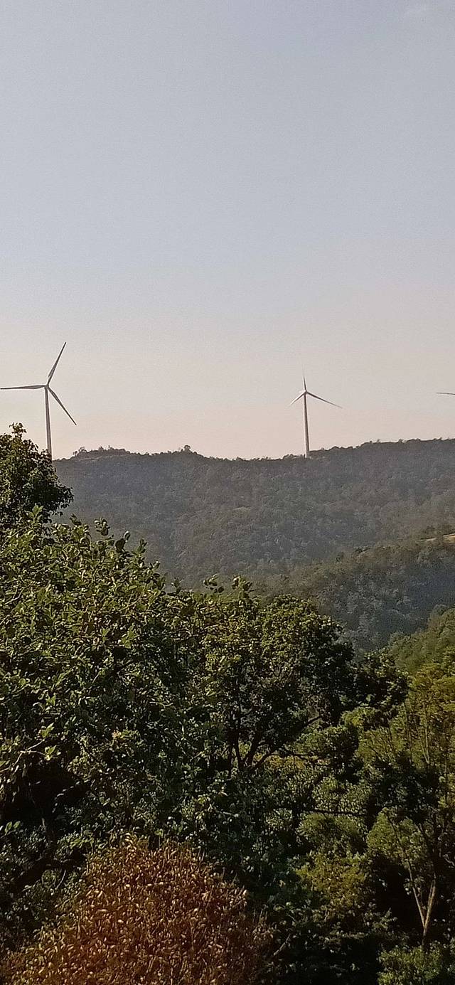 浙江玉环书画院