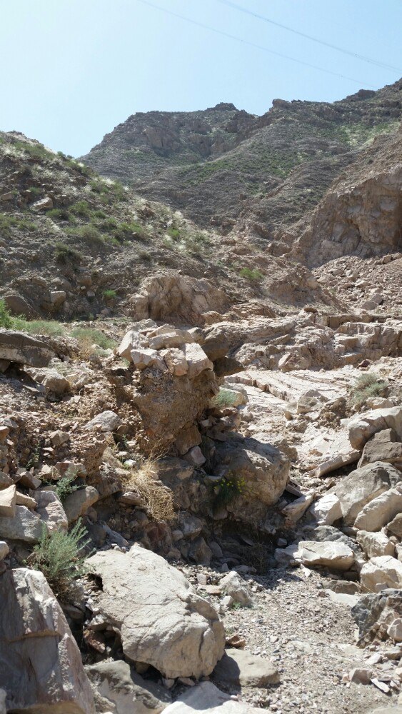 四合木自然保护区