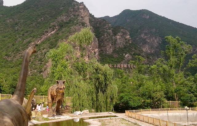 百里山水画廊—硅化木