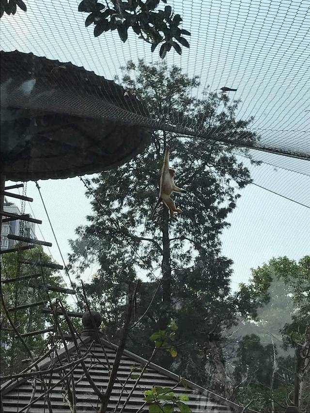 绝味鸭脖(新塘牛仔城店)