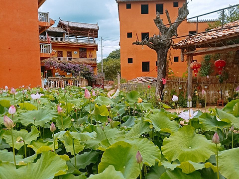 普者黑刘老肆农家乐旅游景点图片