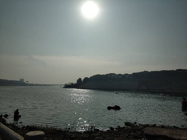 安陆德安植物公园