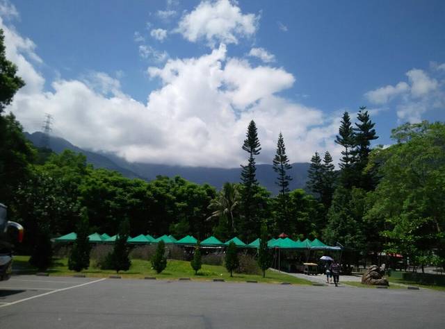 林田山林业文化园区