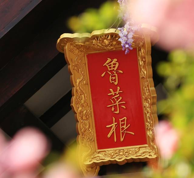 鲁菜根(泰山店)