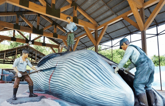 长生浦鲸鱼文化村旅游景点图片
