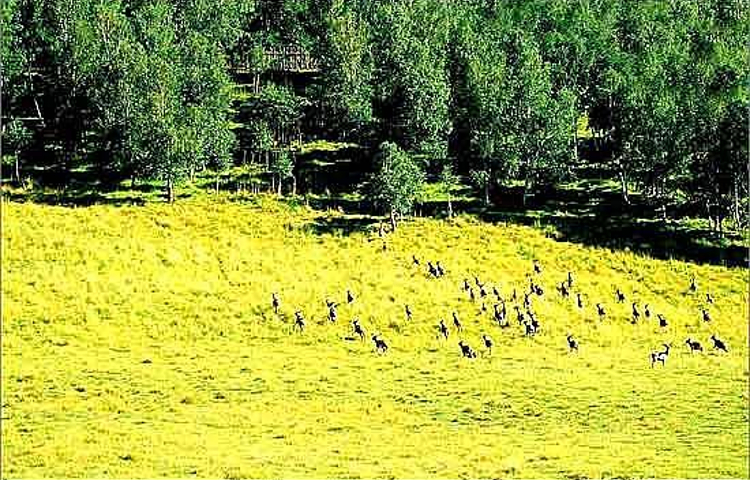 河北滦河上游自然保护区