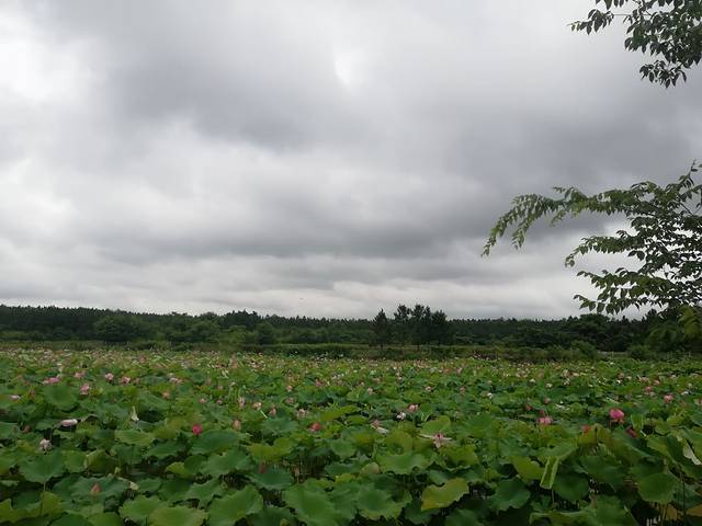 伍员山水农业公园