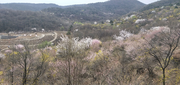 沃泉便利店旅游景点图片