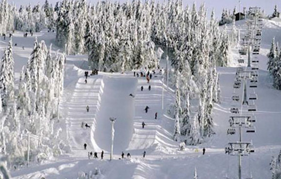 Oslo Winter Park旅游景点图片