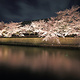 岡崎桜回廊ライトアップ&十石舟めぐり
