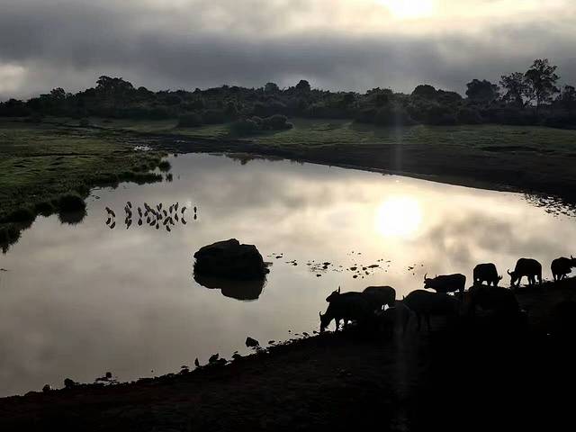 蒙巴萨野生动物园