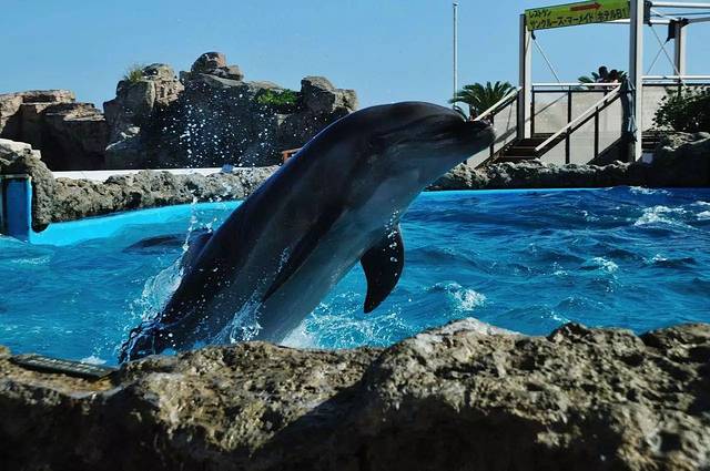 横滨八景岛海岛乐园