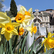 Cafe Ristorante Villa d'Este