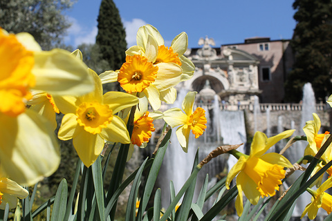 Cafe Ristorante Villa d'Este