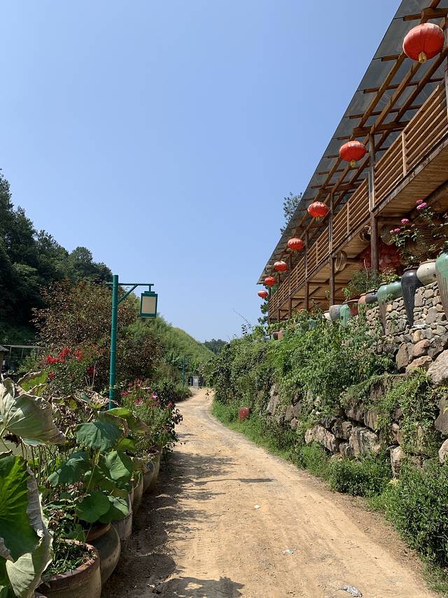 世京园(宁国皖南川藏线店)