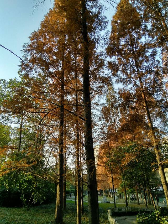 西北桥河边公园