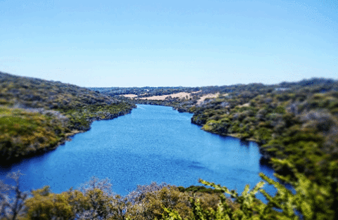 Margaret River and Wine Tours