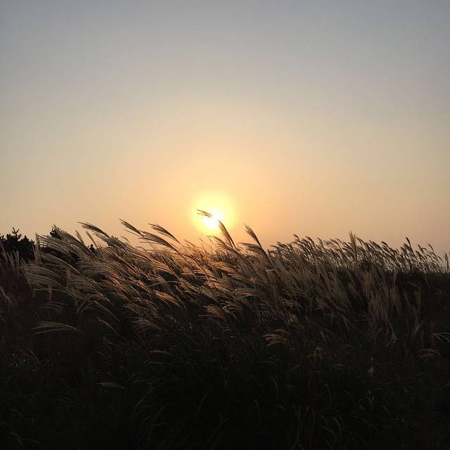 财神岛旅游度假村