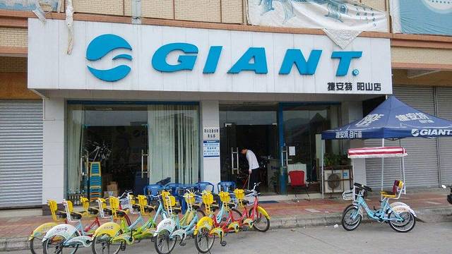 捷安特自行车电动车(中山东路店)