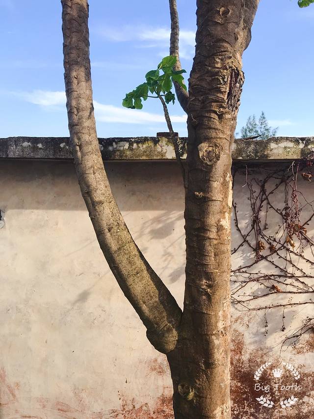 阳江东岛金沙滩风景区