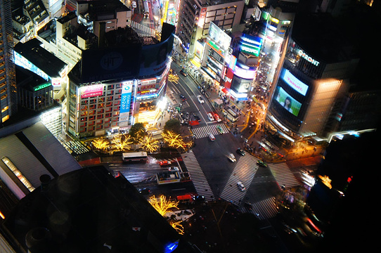 Shibuya Scramble Square旅游景点图片