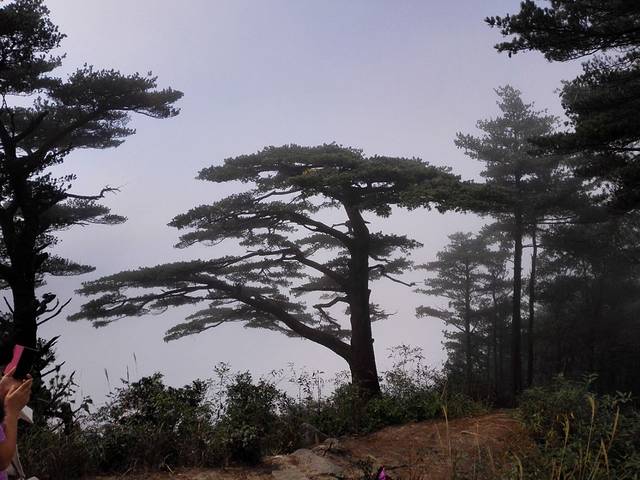 杨东山十二度水省级自然保护区