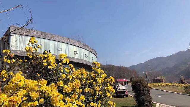 大别山露营公园