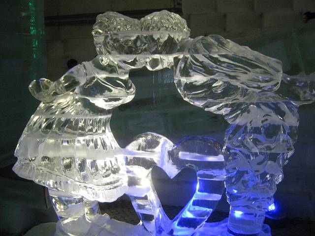 树木园主题乐园