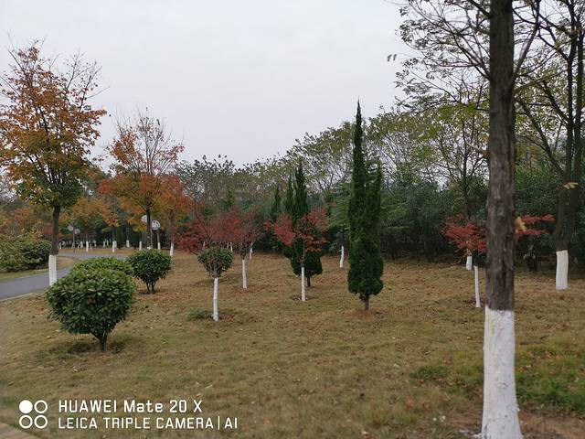 蒲阳绿荫公园(长荆公园)