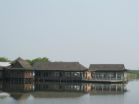 海鸥岛