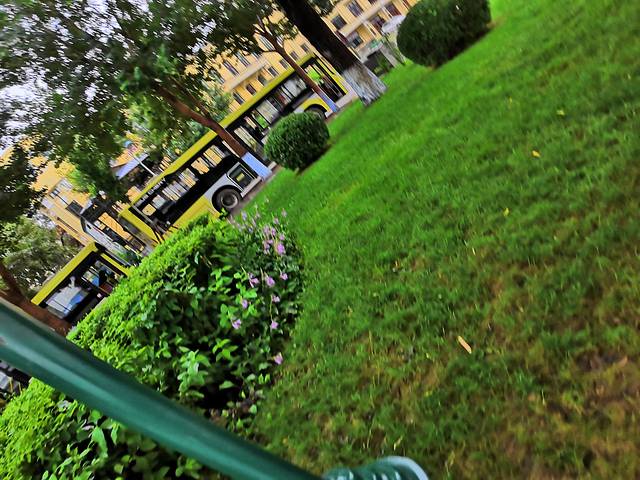 哈尔滨青年宫剧场