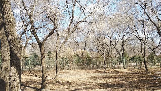 西拉木伦公园神奇洞