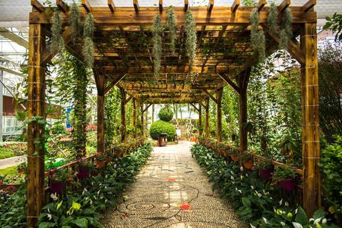 益阳现代农业示范园