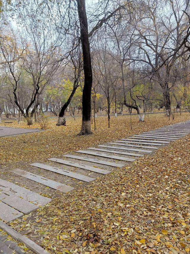 黑龙江中医药大学