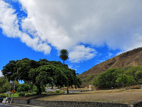 夏威夷自然中心-火奴鲁鲁旅游景点图片