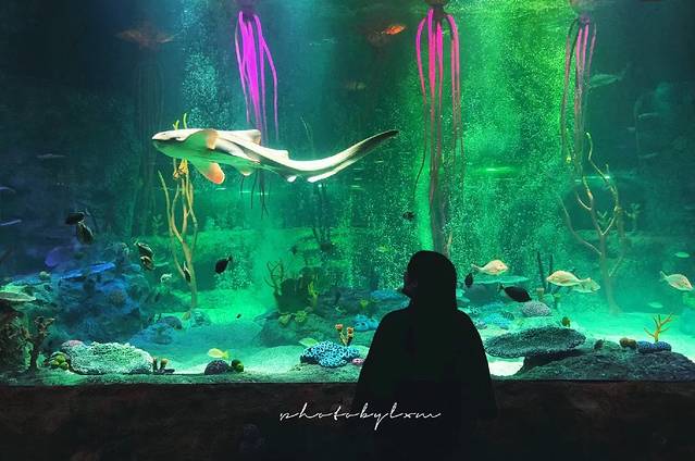 沈阳海洋探索中心