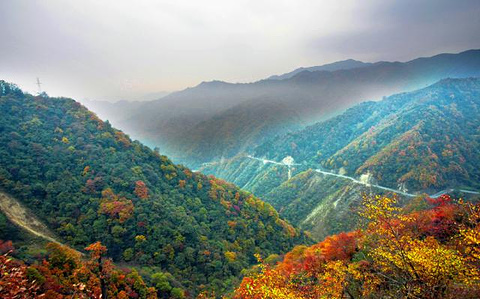 光雾山旅游景区旅游景点攻略图