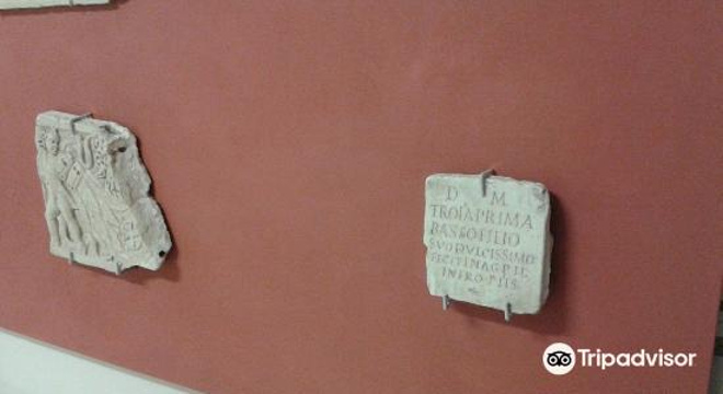 Museo Archeologico Etrusco De Feis旅游景点图片