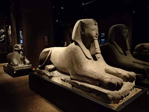埃及博物馆旅游景点图片